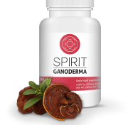 GE-Supplement-SPIRIT_Render